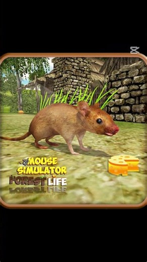 Which Mouse Game is the Best? (Top 5 Ranked)