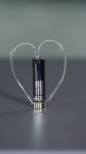 Motor mit Herz: Lorentzkraft und elektromobile Experimente