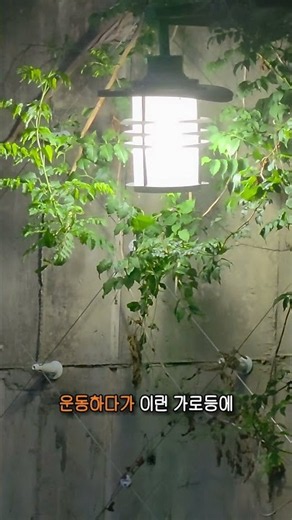 스마트폰에서 노출을 조정해야할때(+사진꿀팁) #사진잘찍는법 #스마트폰사진 #시선