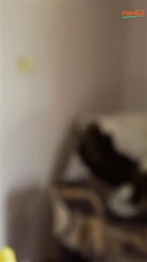 🏡⚡ Betsy rompe con las estrictas costumbres amish y se atreve a abandonar su matrimonio para buscar una vida más libre y llena de posibilidades 🌟💪 #MundoAmish #RompiendoLasReglas Disfruta el contenido de Discovery en #HBOMax Suscríbete ahora: https://bit.ly/MAX-DiscoveryFamilia | Discovery Familia