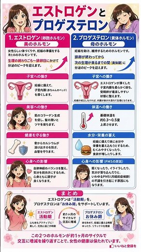 エストロゲンとプロゲステロンの違いとは？女性の心身を支配する2大ホルモンの働き｜美容・健康・PMSの原因まで、1ヶ月のサイクルを正しく知るための教科書