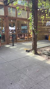 Bernheim Arboretum and Research Forest on Reels