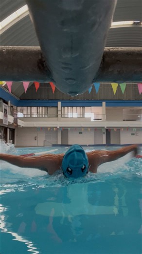 Adrenalina Pura en la Caballería de Natación
