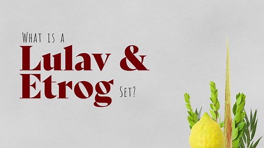 The Lulav and Etrog: The Four Kinds