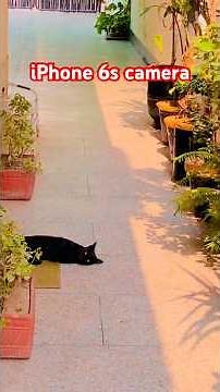 iPhone 6s camera #dhamaid #foryou #trendingshorts #youtubeshorts