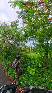 Real Hunting on Reels