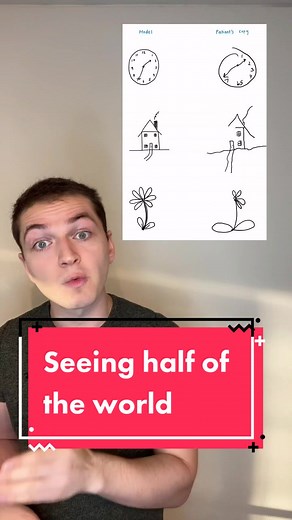 Understanding Hemispatial Neglect: A Fascinating Look into Consciousness