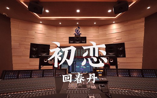 【日推】【歌词版】Selena Gomez, Marshmello - Wolves Said The Sky Remix-练金术Party-乐-哔哩哔哩视频