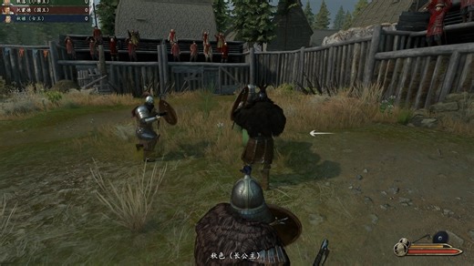 忙里偷闲，斗个蛐蛐