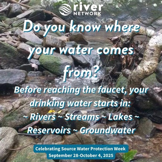 11 reactions | It's Source Water Protection Week! Clean, safe tap water begins at the source. Join us in highlighting the importance of protecting the natural areas that supply our drinking water, and the key role of collaborative partnerships. #SourceWaterProtectionWeek #ProtectTheSource | River Network | Facebook