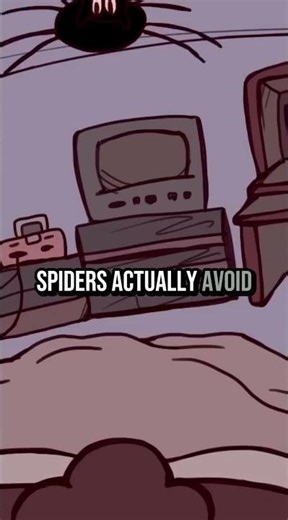 Ever Heard This "Fact" About Spiders?