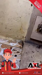 65 shares |  Watch our 헔헫헟 헣헲혀혁 헖헼헻혁헿헼헹 헧헲헰헵헻헶헰헶헮헻 in action as they tackle a high cockroach infestation! ✨ See how the pros keep your home pest-free. #AXLPestControl #PestFreeHome #CockroachControl #ExpertTechnicians #SayNoToPests | AXL PEST Control Services | Facebook