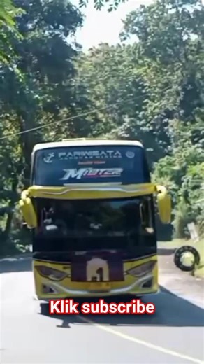 Si kuning Bus Safana Militer #busartis #basuri #busmaniacommunity