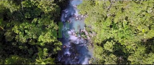 Megaboa | movie | 2021 | Official Trailer