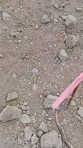 51K views · 1K reactions | Alamin at intindihin ang nsa stacka un ang guide at reference na dapat sundin.. | Idol Randy Vlog | Facebook