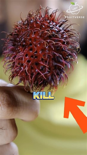 Fruits That Were Used to Kill People ☠️