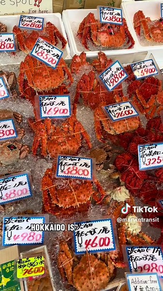 Delicious Red King Crab in Hokkaido - Fresh, Juicy, and Affordable!