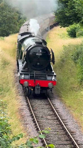 Alex Fletcher on Instagram: "A3 Pacific Class “Flying Scotsman” passing by at the @westsomersetrailway event last year. Always impressed by its weight and that 3 cylinder bark. #steamtrain #steamlocomotive #railway #flyingscotsman"