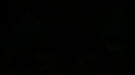 Furry gay porn (@loontex435) on X