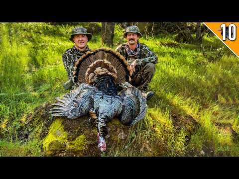 California Turkey Hunting w/ Howl for Wildlife!