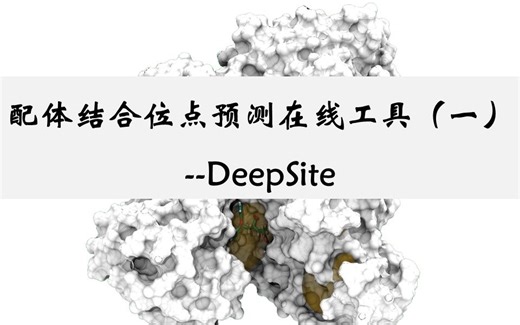 配体结合位点预测的在线工具（一）--DeepSite