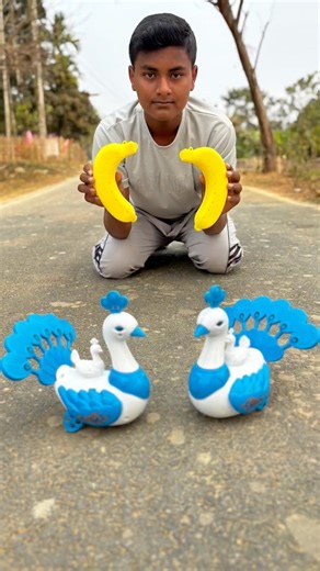 Remote Control 2 Peacock Unboxing