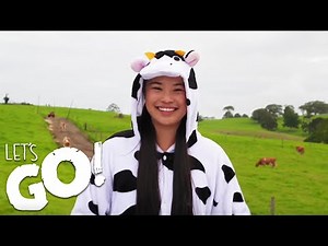 Grace Visits A Dairy Farm On The Sunshine Coast | Let's GO!