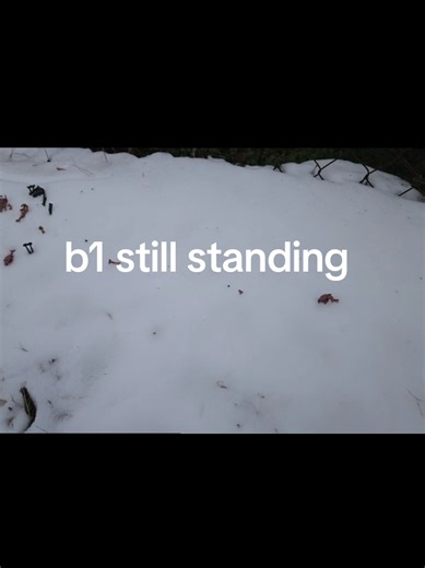 b1s are just build different or stubborn, whichever one come first #lego #legostarwars #starwars #fyp #b1battledroids