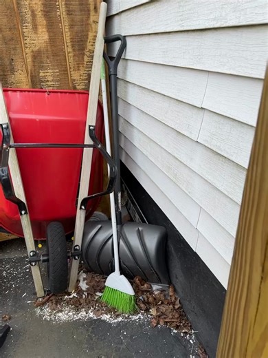 FOUND STRAY: "Found kitten. Safe now but super scared. Is anyone missing their kitty? Nash Rd Church St area of New Bedford." Contact: https://www.facebook.com/lacy.borges.12 | New Bedford Guide