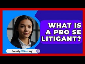 What Is A Pro Se Litigant? - CountyOffice.org