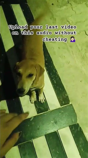 Now its ur turn💁🏻‍♀️ #youtubeshorts #shortsfeed #shorts #explorepage #youtube #youtuber #explore