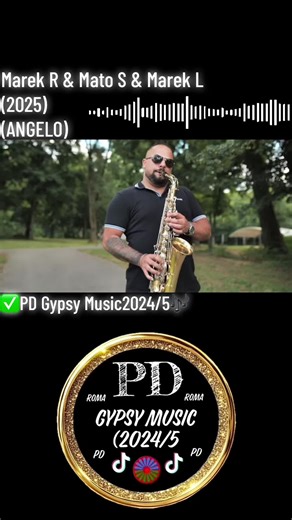 Gypsy Music Collaboration by Slovak Artists 2025