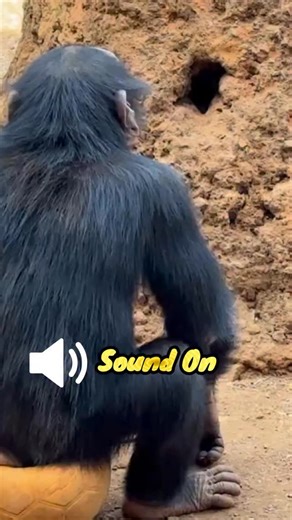 15K views · 13K reactions |  Fart Ball! Haven’t we all been there?...