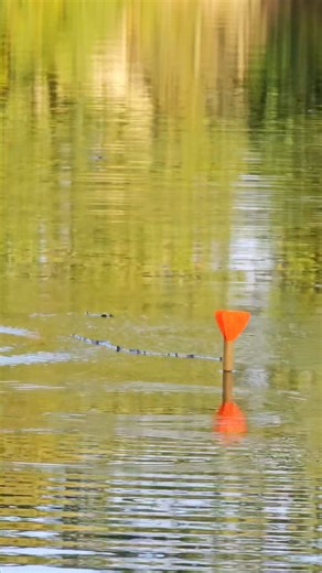 242K views · 525 reactions | A marker float can be a valuable tool in...