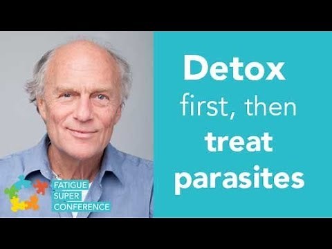 Detox first, then treat parasites - Dr Klinghardt