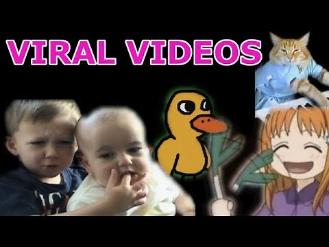 Best internet memes 2005- 2009