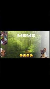 Funny animal short | Pine martin chasing squirrel