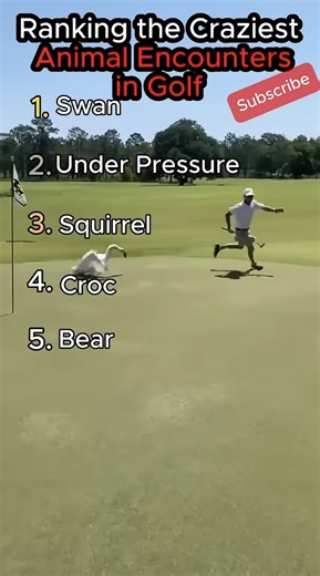 Golf’s wildest animal encounters