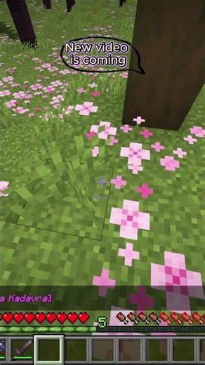How i become a mace master #minecraft #minecraftmace #minecraftpvp