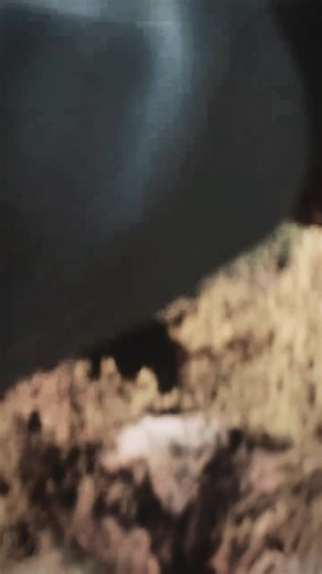 Percy Jackson Season 2 Recap and Tribute Edit