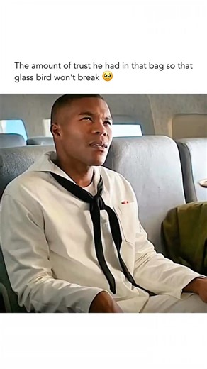 Colorful Movie Land on Instagram: "“Pan Am” is a glamorous and nostalgic drama that takes viewers back to the 1960s — the golden age of air travel — following the lives of pilots and flight attendants working for the iconic Pan American World Airways. Beneath the charm and elegance of high-altitude luxury lies a world of ambition, adventure, and hidden secrets, as the crew navigates love, politics, and espionage across international destinations. Stylish, romantic, and full of wanderlust, the se