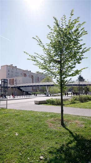 Ville d'Évry-Courcouronnes on Instagram: "🚧 Votre ville se transforme - Épisode 5 Le quartier des Pyramides poursuit sa métamorphose autour de la place des Miroirs et de la rue Desaix ! 🌆 ✅ Une nouvelle liaison entre la place des Miroirs et la rue du Facteur Cheval ✅ De nouveaux aménagements (espaces verts, piste cyclable, mur d’escalade...) ✅ Et bientôt la construction d’environ 150 logements, de commerces de proximité, d’un supermarché et de cabinets médicaux Un quartier qui se réinvente pou