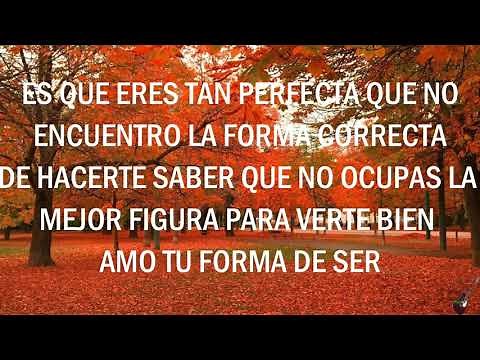 (Letra) - Perfecta - Banda Los Recoditos