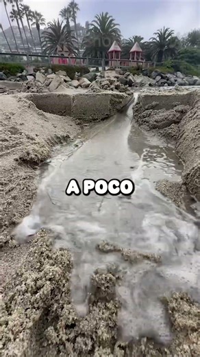 SMALL but very dangerous 😳