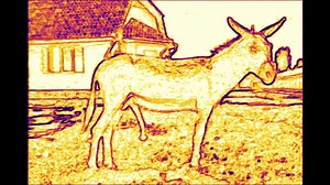 Donkey Dong Hypnosis FTM