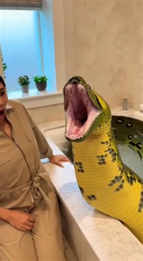 One Second Too Long… 🐍