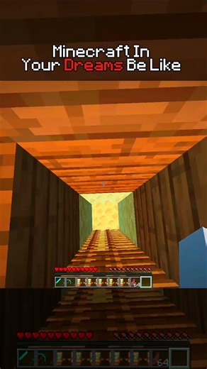 Minecraft Dreams Moment