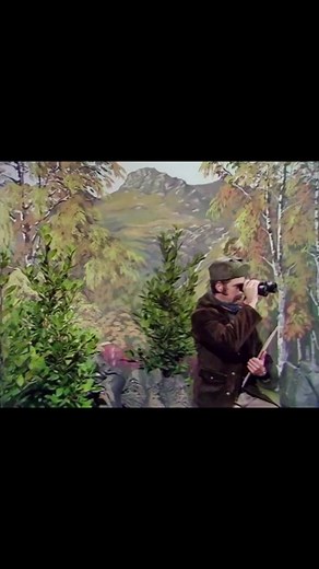 #montypython #camel #train #trainspotting #camelspotting