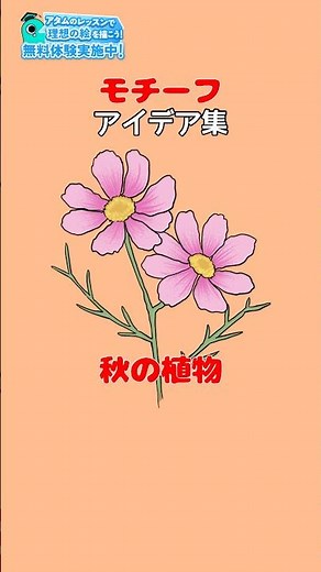 イラストのモチーフや背景にも！秋の植物5選🍂#アタムアカデミー #イラスト #illustration #お絵描き #イラスト初心者