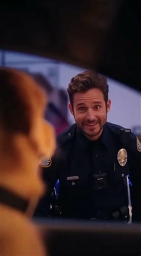 Dog Pulled Over for Driving?!